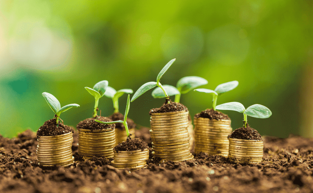 Ecobonus 110% e stufe a legna: tutte le modalità per accedere agli incentivi